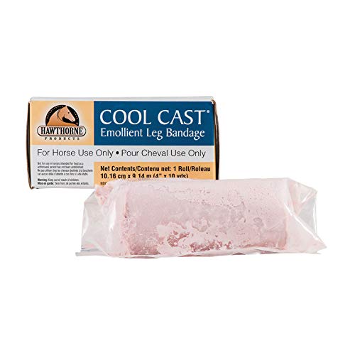 Hawthrone Cool Cast IN