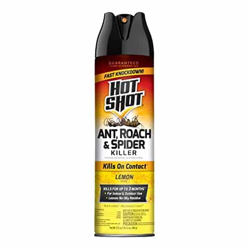 Hot Shot Ant, Roach & Spider Killer Spray, Kills Roaches and Listed Ants on Contact, Indoor & Outdoor Use, Insecticide Spray, Ounce (Lemon scent)