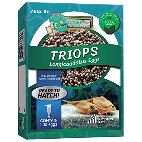 Greenwaterfarm Triops Longicaudatus Eggs for Hatching and Culture Suitable to be Pet and Science Project (Pure Eggs)